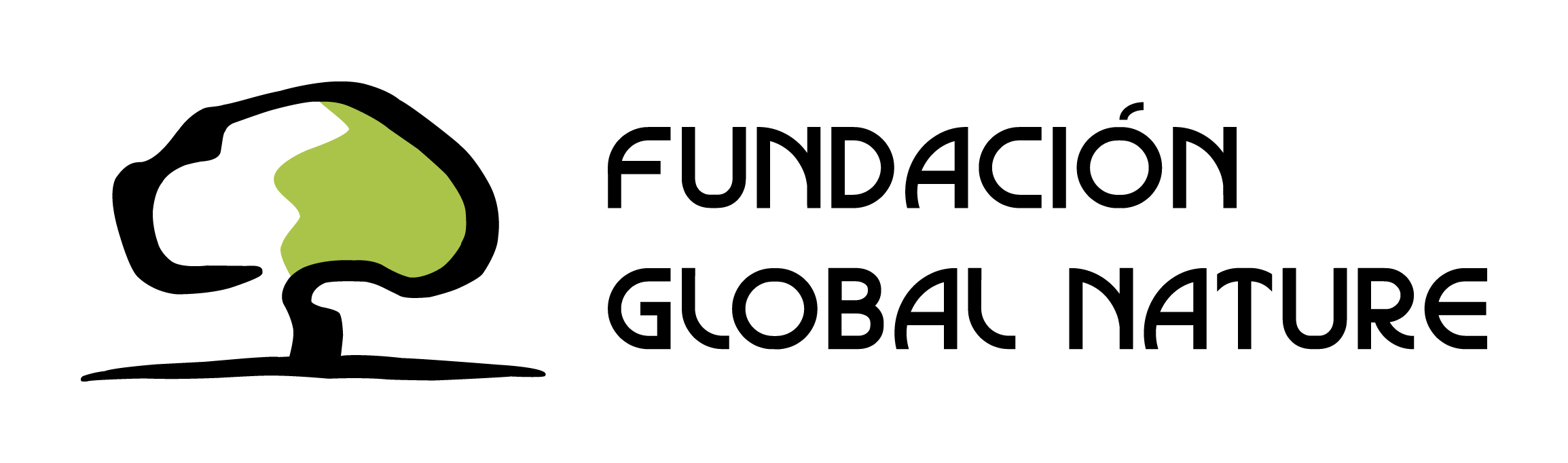 Logo FGN.jpg